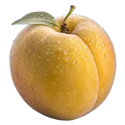 Imagen PNG para descargar